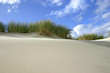 Dünenlandschaft