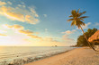Sunset beach with palm trees and bungalow. Thailand. Koh Chang