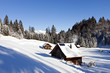 Winter landscape Winter landscape