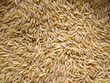 Risoni Pasta