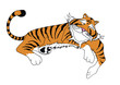Tiger entspannt