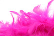 Plumes