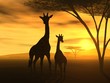 Spirit of Africa