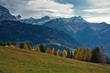 Swiss Alpes