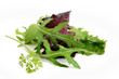 Mesclun Mesclun