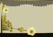 Carbon Blue Design - Floral Brochure Design Carbon Blue Design - Floral Brochure Design