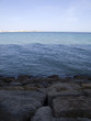 ROCA MAR 7