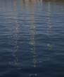 REFLEJOS MAR 2