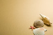 seashell seashell