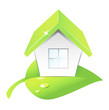 Ecology house on leaf