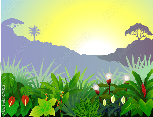 Vector: Natural landscape Natural landscape