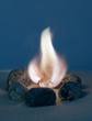 The hearth