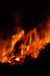 Hexenfeuer - Walpurgis Night bonfire 76