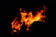 Hexenfeuer - Walpurgis Night bonfire 94