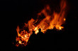 Hexenfeuer - Walpurgis Night bonfire 95