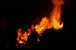 Hexenfeuer - Walpurgis Night bonfire 96