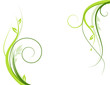 Floral background Floral background