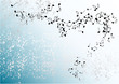 blue notes