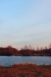 весенний лес