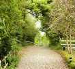 a walkway with beautiful scene in the park a walkway with beautiful scene in the park