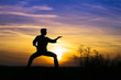 Sport karate Sport karate