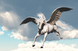 PEGASUS