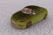 Voiture en herbe