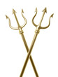 golden tridents cross
