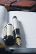 fountain pen & diary