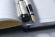 fountain pen & diary