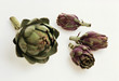 Artichokes: large headed artichoke & Violetto di Toscano