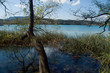 banyolas lago 2