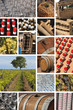 viticulture
