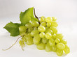 Green grapes with leaves