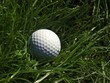 Golf ball