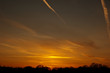 Sunset over line of trees Sunset over line of trees