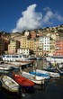 Camogli, Genova