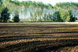 paesaggio 818 paesaggio 818