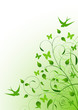 Spring background
