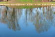 paesaggio 954 paesaggio 954