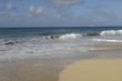 France, Martinique, plage des Salines France, Martinique, plage des Salines