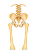 Cuadro lumbar delantero