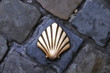 CAMINO DE SANTIAGO