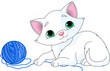 Playful White Kitten