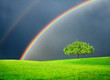Green field with tree and double rainbow Green field with tree and double rainbow