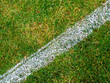 Fussballrasen