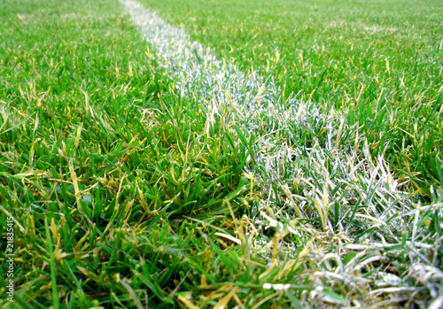 Fusball Linie