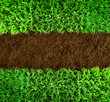 Green grass and earth Background