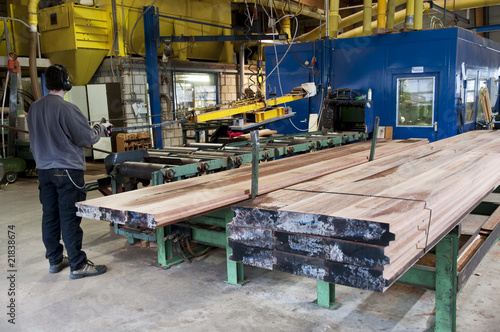 Photo: Lumber industry Lumber industry