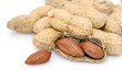 Cacahuètes sur fond blanc